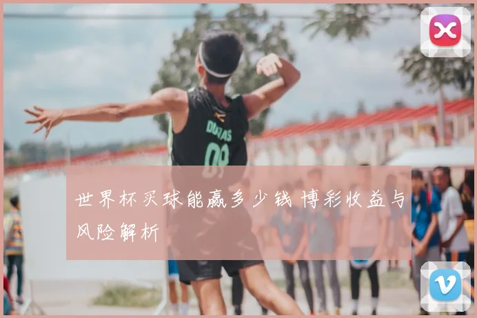 世界杯买球能赢多少钱 博彩收益与风险解析