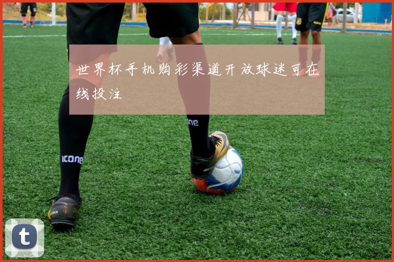 世界杯手机购彩渠道开放球迷可在线投注