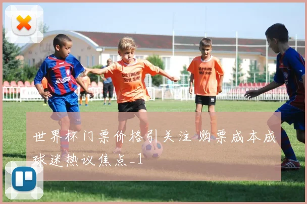世界杯门票价格引关注 购票成本成球迷热议焦点_1