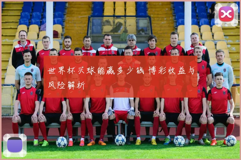 世界杯买球能赢多少钱 博彩收益与风险解析