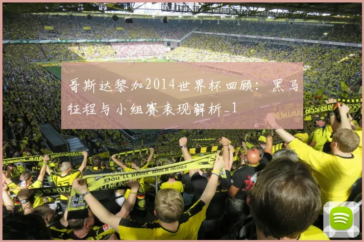 哥斯达黎加2014世界杯回顾：黑马征程与小组赛表现解析_1