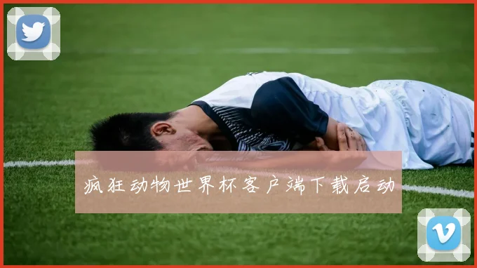 疯狂动物世界杯客户端下载启动