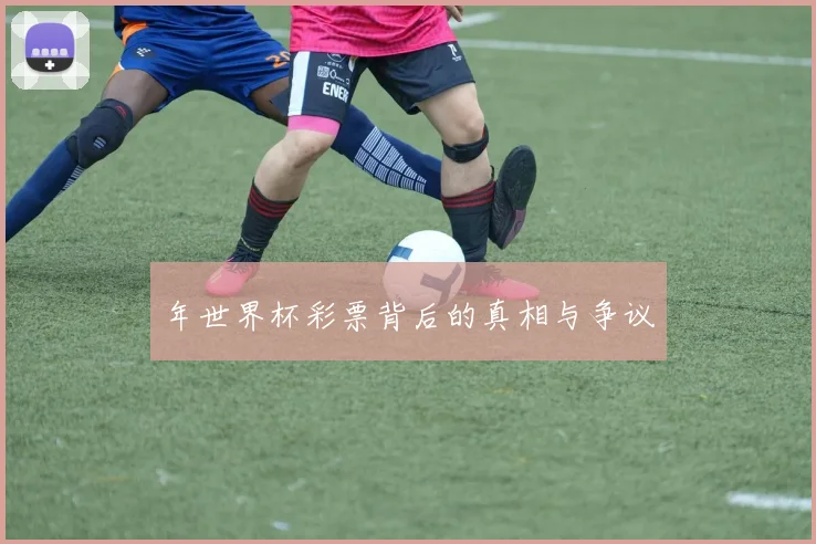 年世界杯彩票背后的真相与争议