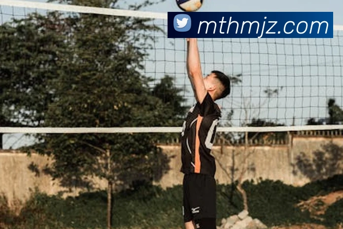 必一运动中国官方网站平台生态图